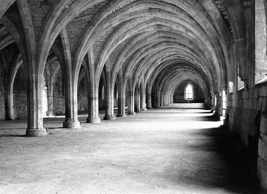 Architecture - Vaults Late Century 1100 Photograph by Duncan1890