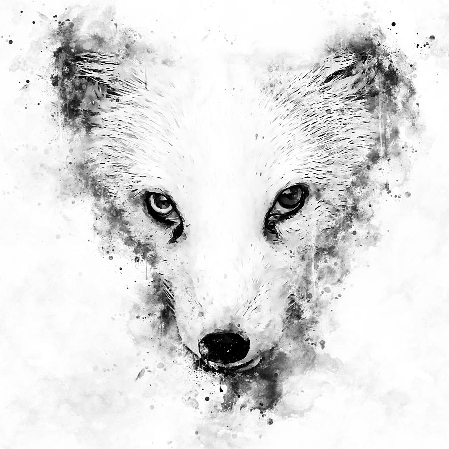 arctic fox bicolor eyes ws bw digital art by gxp design arctic fox bicolor eyes ws bw by gxp design