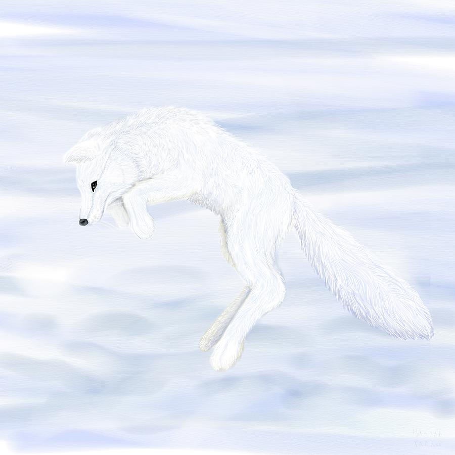 arctic fox pouncing digital art by hannah parker arctic fox pouncing by hannah parker