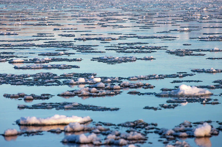 Arctic Ice Photograph by Todd Klassy