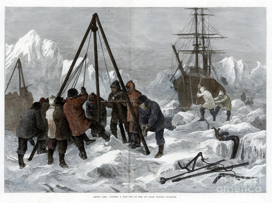 Arctic Life, Cutting A Way Drawing by Print Collector