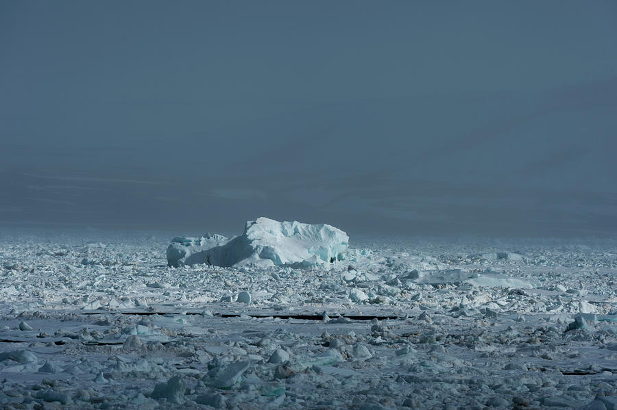 Arctic Ocean Sea Ice And Coastal Mist, Wahlenberg Fjord, Nordaustlandet ...