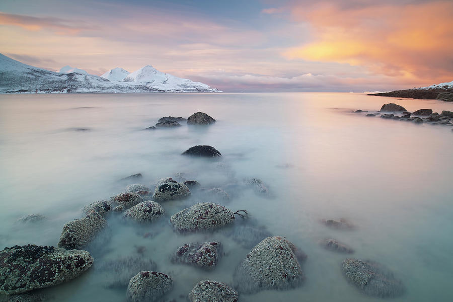 Arctic Seascape Photograph by Antonyspencer