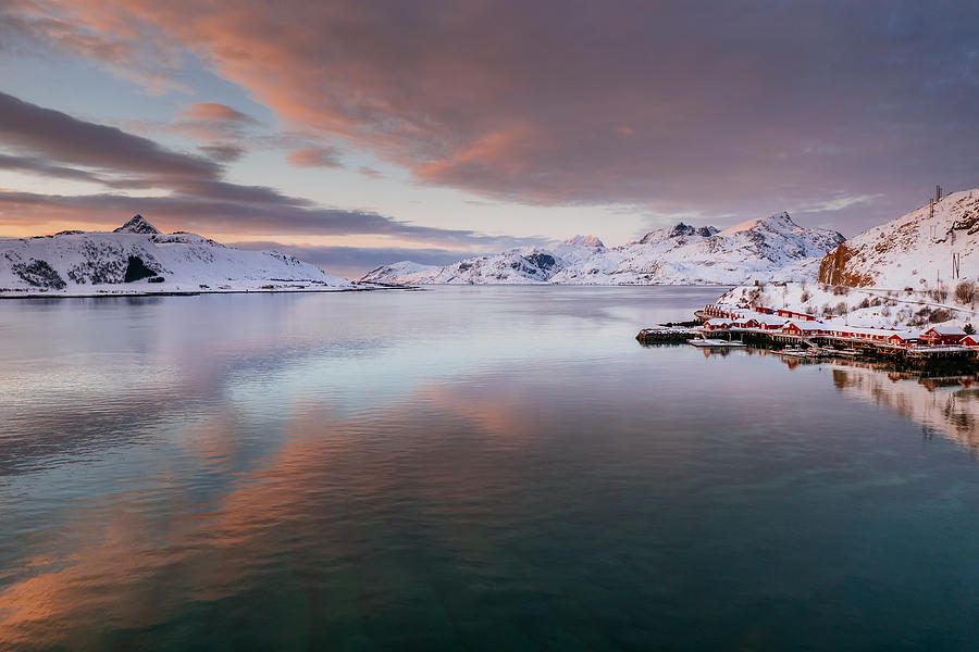 Arctic Sunrise Photograph by Adrian Popan