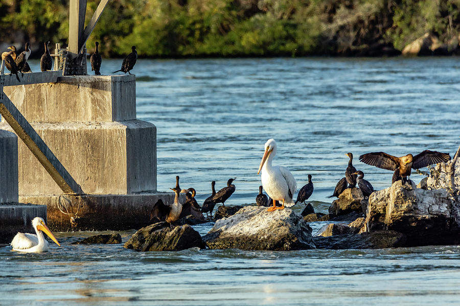 Are You Coming Up or What? by Jack Peterson Are You Coming Up or What? by Jack Peterson
