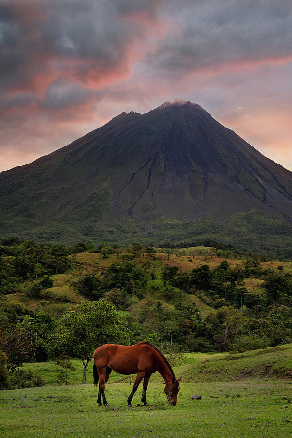 Arenal Volcano Photograph by Darylann Leonard Photography