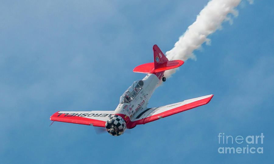 Aeroshell Dive Photograph by Tom Claud