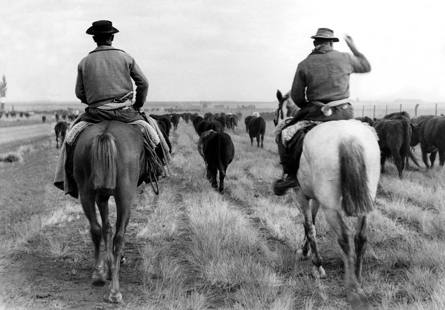 Argentinian Cowboys In 1954 Photograph by Keystone-france