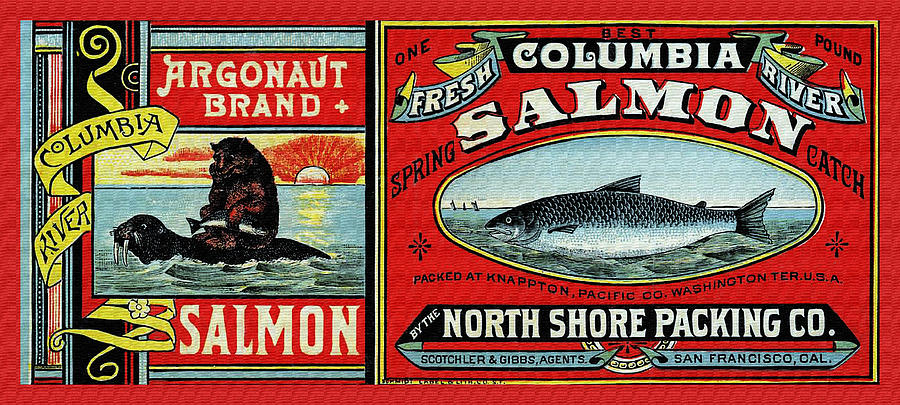 Argonaut Brand Salmon Painting by Schmidt Label Co. - Fine Art America