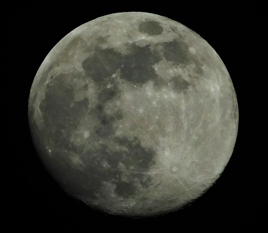 - Aries New Moon  Photograph by THERESA Nye