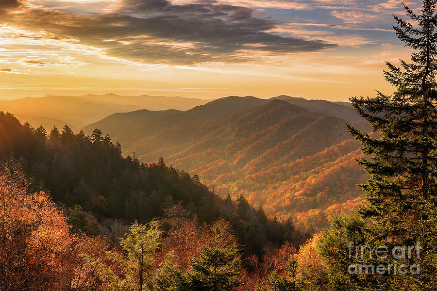 Arise 2 by Anthony Heflin Arise 2 by Anthony Heflin