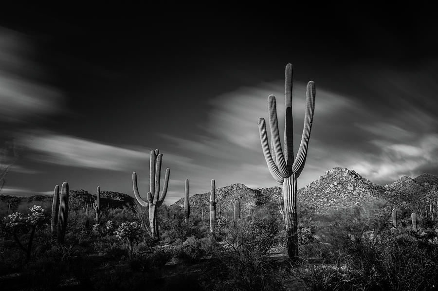 Arizona #67 Photograph