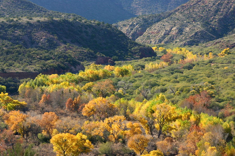 Arizona Canyon In Autumn Photograph by Yourmap