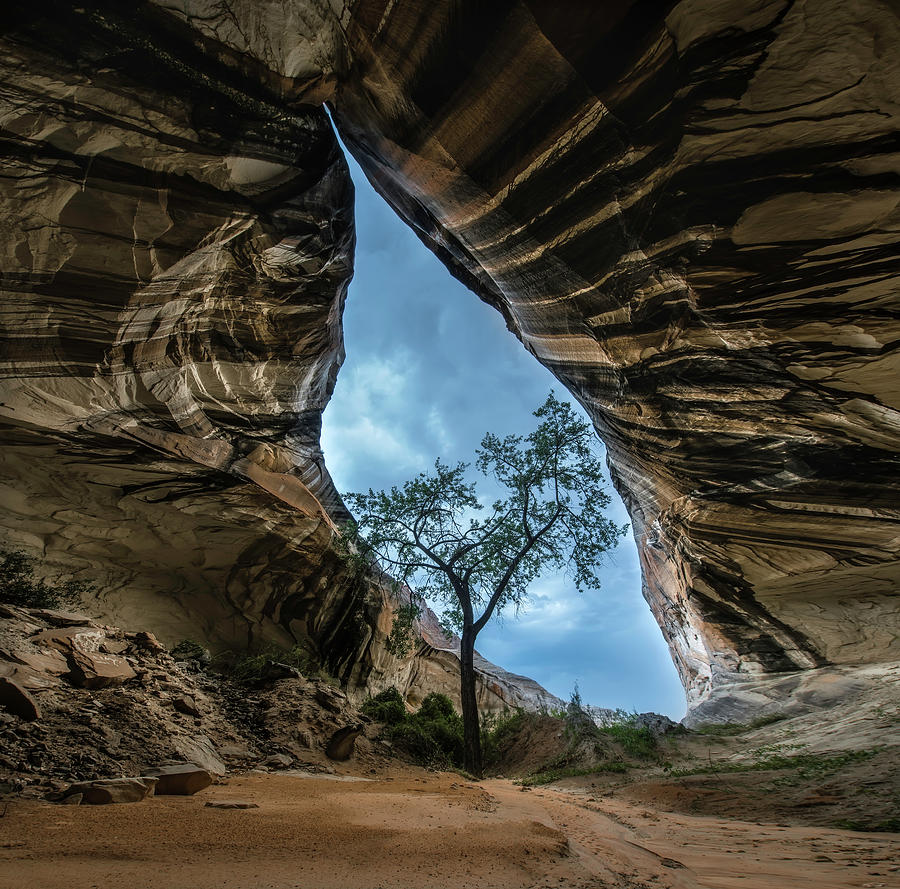 Arizona Cave Photograph by Larry Marshall