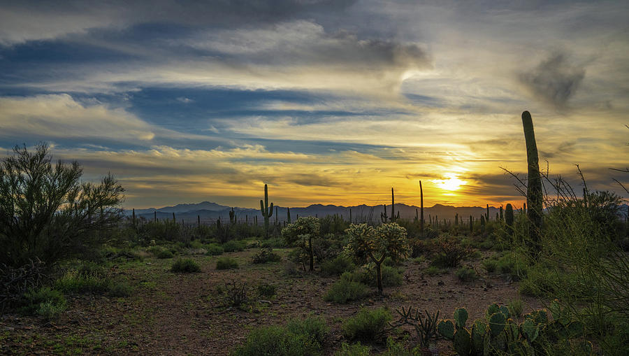 Arizona Desert At Sunset Photograph by Michael Lustbader
