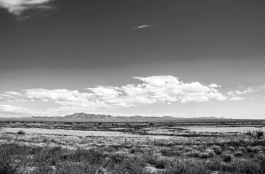 Arizona Desert BW Photograph by Norman Johnson - Fine Art America