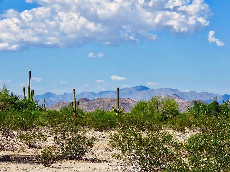 Arizona Desert Hidden Valley Photograph by Judy Kennedy