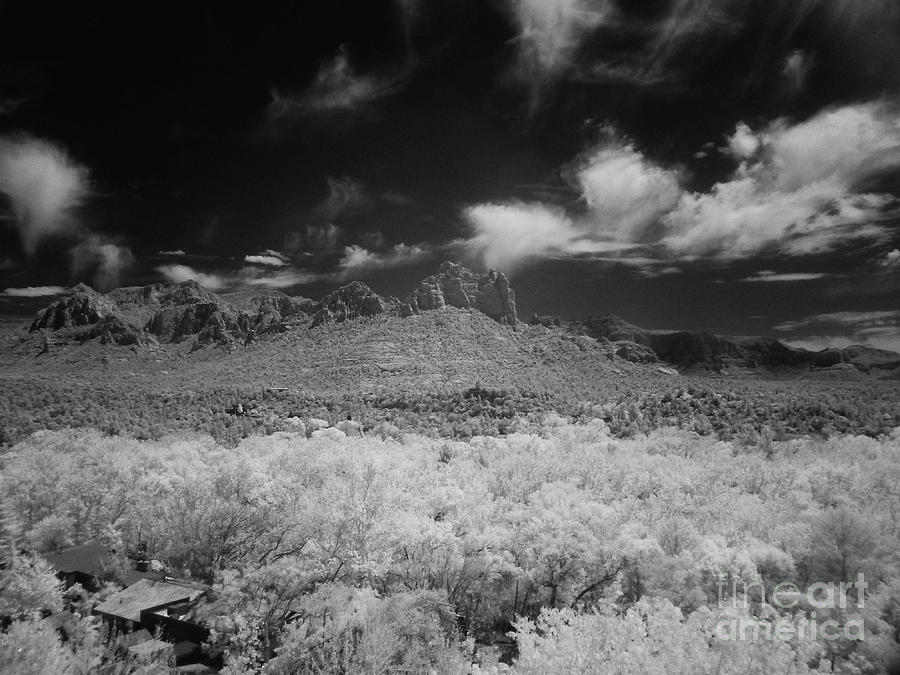 Arizona desert in infrared Photograph by Jonathan Lingel - Fine Art America