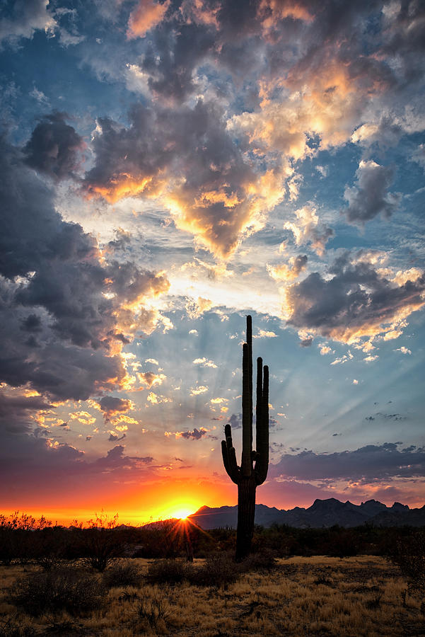 Arizona Flagship Skies  Photograph by Saija Lehtonen