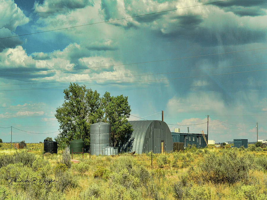 Arizona Homestead by Paulette B Wright Arizona Homestead by Paulette B Wright