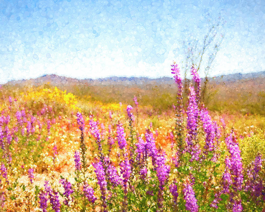 Arizona Lupin by Sandra Selle Rodriguez Arizona Lupin by Sandra Selle Rodriguez