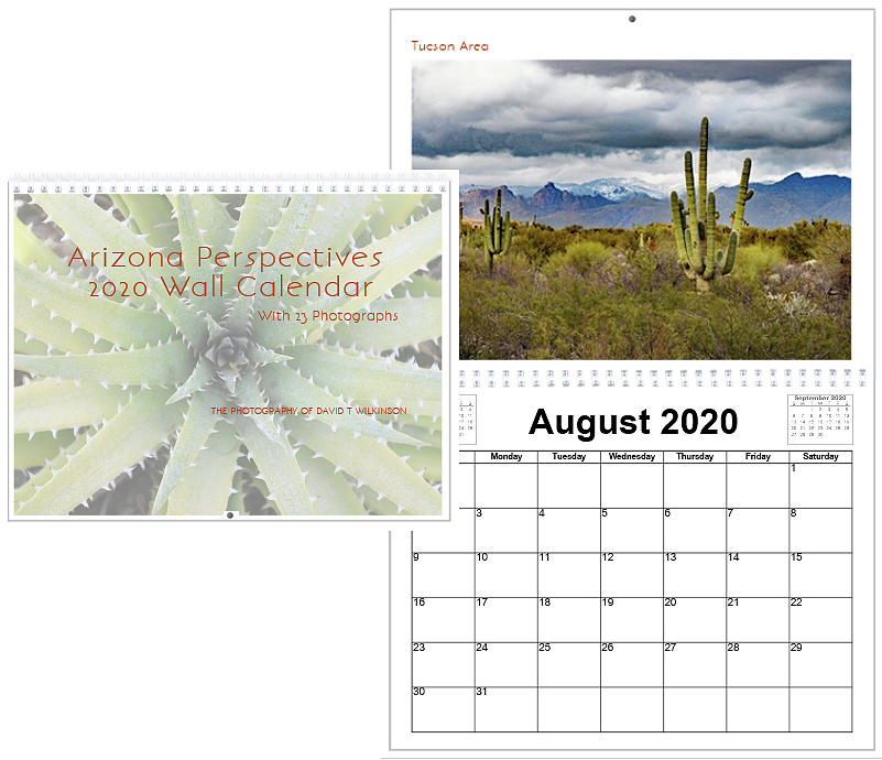 Arizona Perspectives 2020 Wall Calendar Photograph by David T Wilkinson