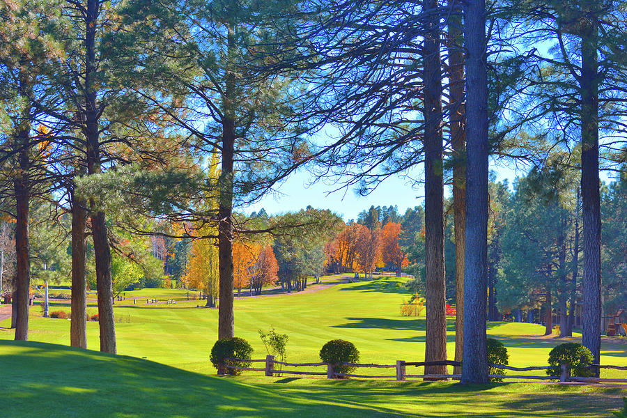 Arizona Golf Course Photograph by Nancy Jenkins Fine Art America