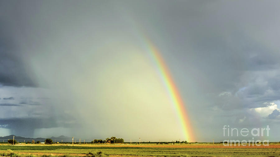 Arizona Rainbow Photograph by David Meznarich