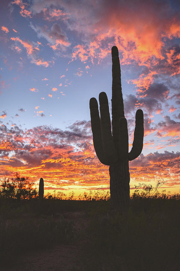 Arizona skies Photograph by Chance Kafka