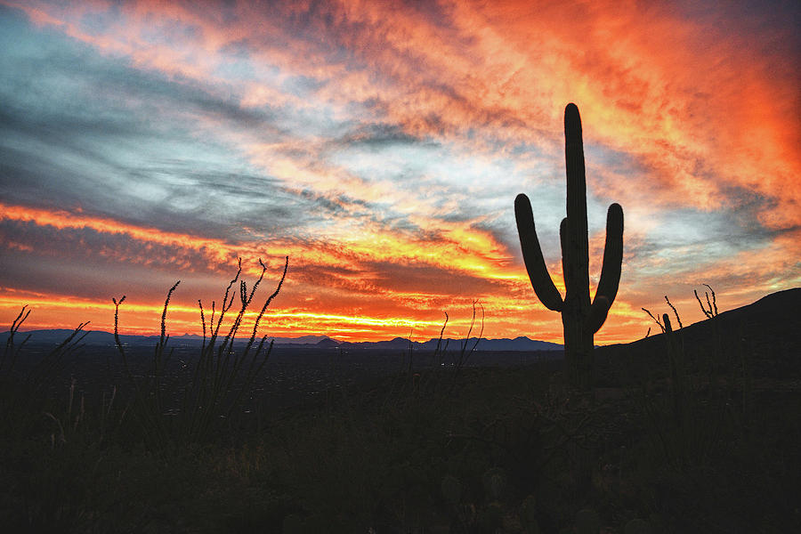 Arizona sky explosion Photograph by Chance Kafka