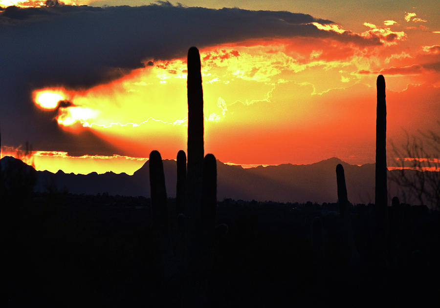 Arizona Sky Glow Photograph by Chance Kafka