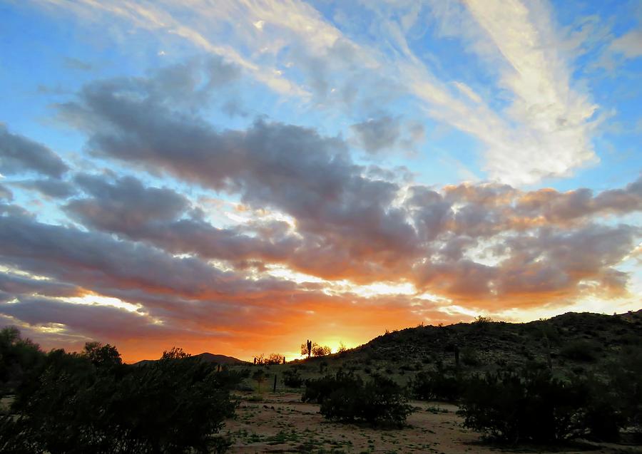 Arizona Sonoran Desert Sunset Photograph by Judy Kennedy
