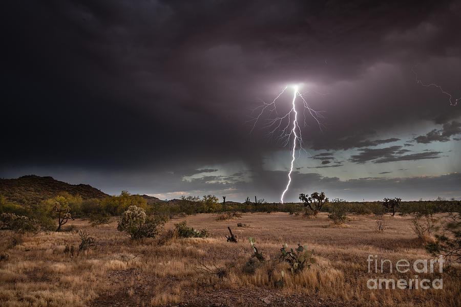 Arizona Spring Storm Photograph by Lisa Manifold