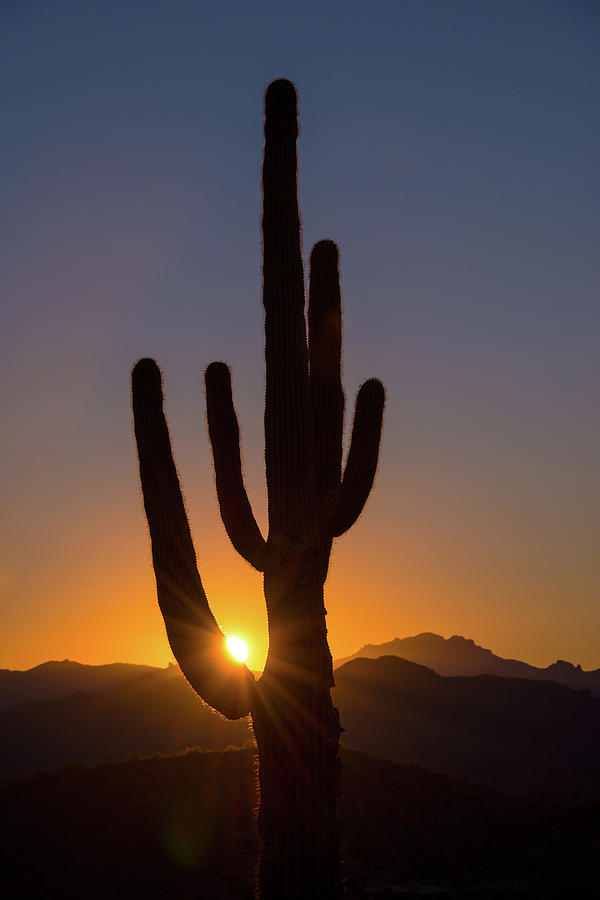 Arizona Sunrise Photograph by Lynda Fowler