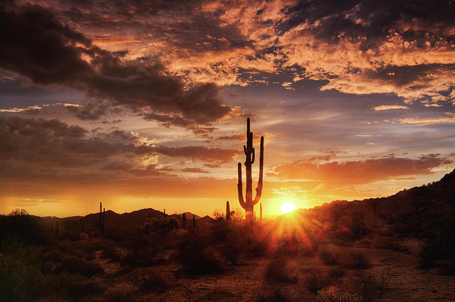 Arizona Sunset Skies  Photograph by Saija Lehtonen