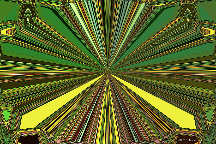 Arizona Three Poppy Abstract Digital Art by Tom Janca