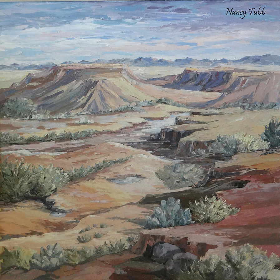 Arizona Valley Painting by Nancy Tubb | Fine Art America