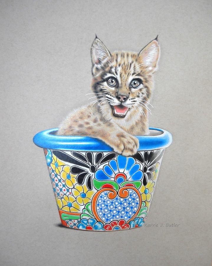 Wildcat Drawing - Arizona Wildcat by Karrie J Butler Wildcat Drawing - Arizona Wildcat by Karrie J Butler