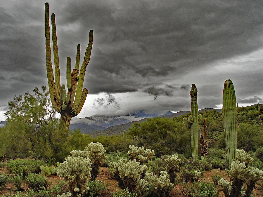 Arizonas Sonoran Desert With Storm. Digital Art by Tom Janca