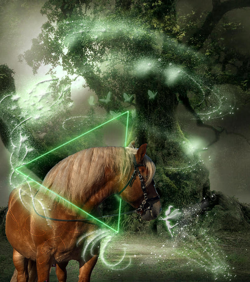 Fantasy Photograph - Arkano Horse In The Green Magic Forest by Purplesunshine
