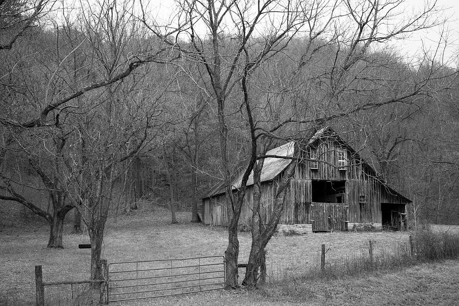 Arkansas Barn Photograph by Tammy Chesney