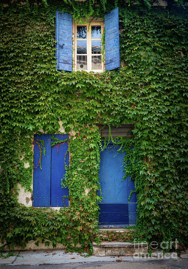 Arles Ivy Photograph by Inge Johnsson