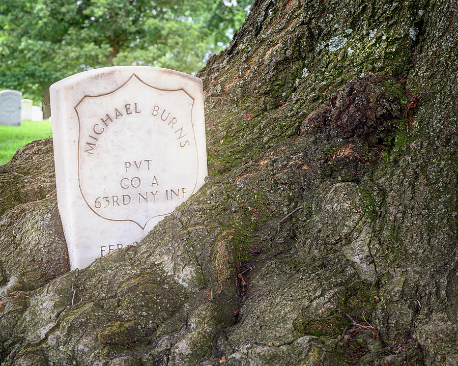 Tree Photograph - Arlington National Cemetery Early Burial by Joan Carroll
