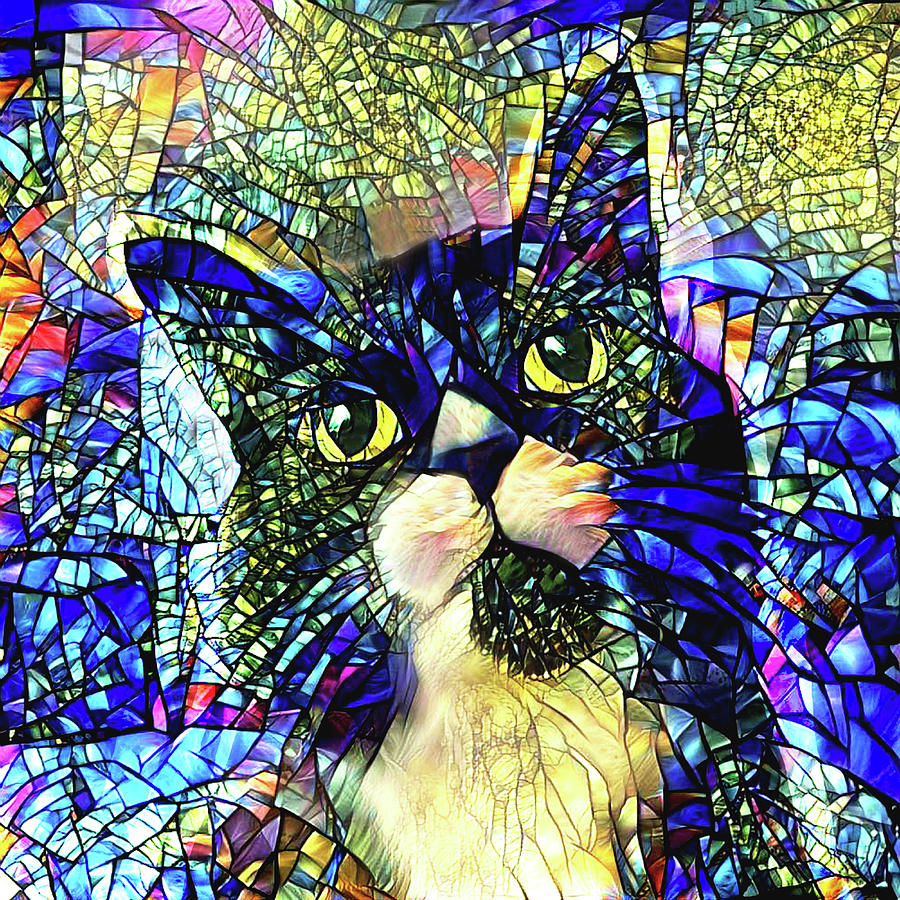 Armani the Black and White Cat Digital Art by Peggy Collins