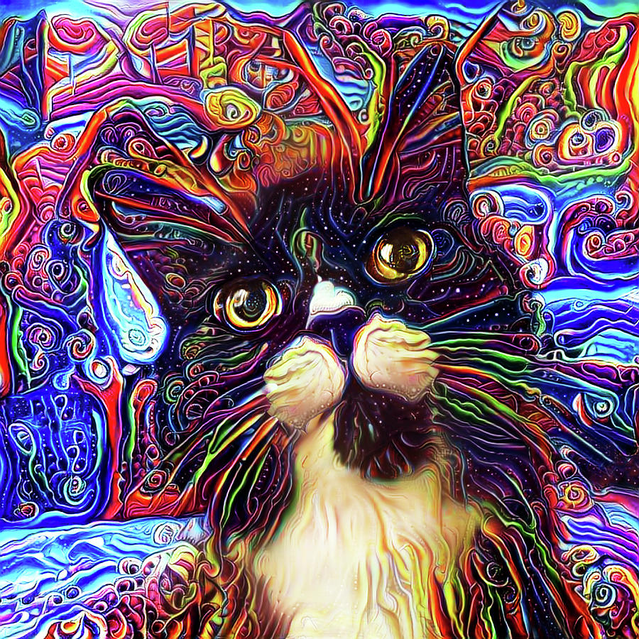 Armani the Tuxedo Cat Digital Art by Peggy Collins