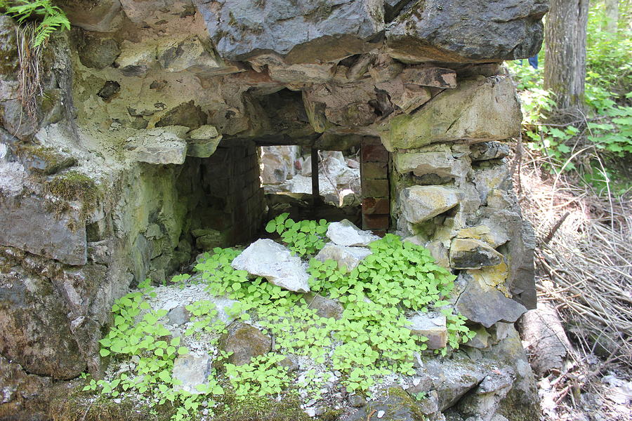 Arnold Mine Ruins II Photograph