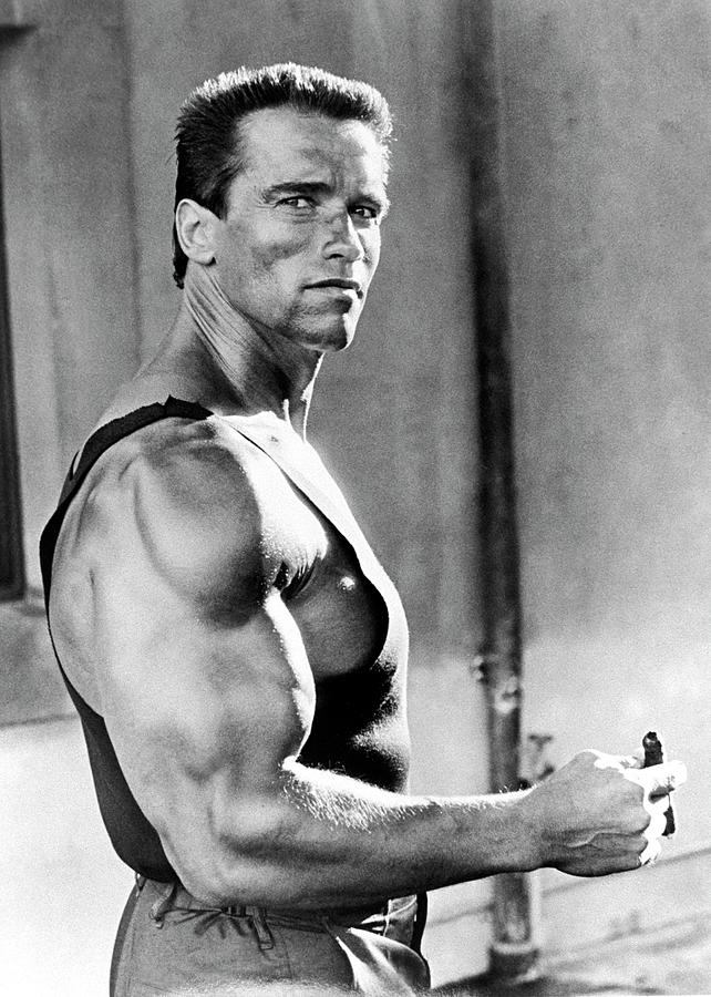 arnold commando