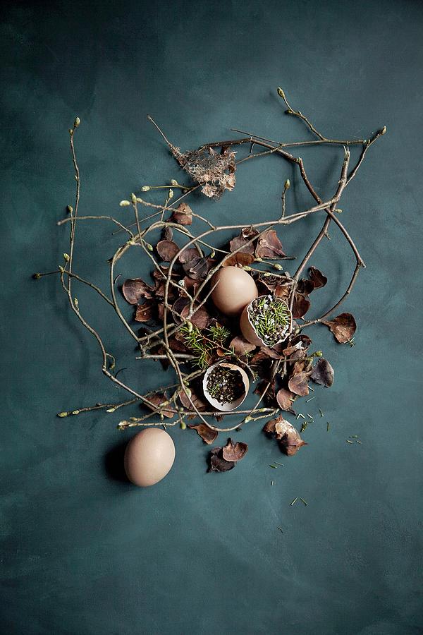 Aromatic Spices And Salt Flakes In Eggshells Photograph by Aina C. Hole