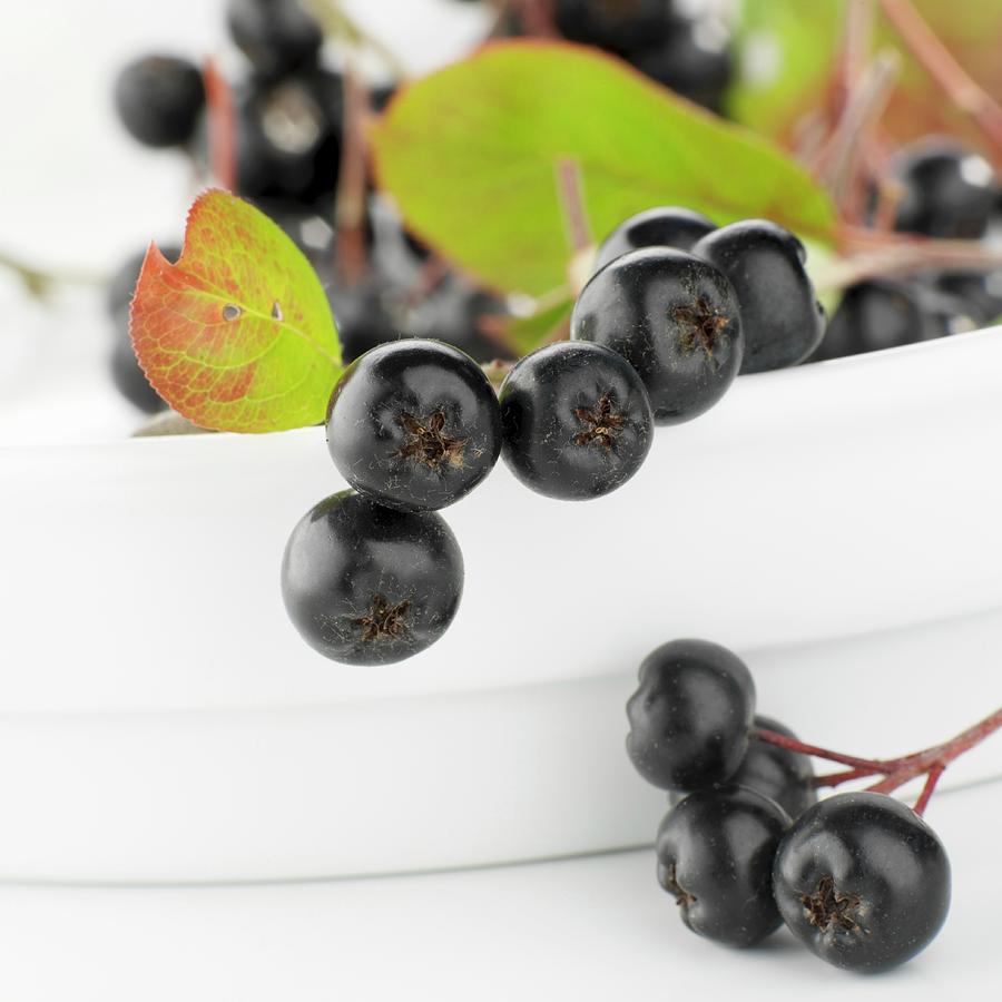 Aronia Berries With Leaves In A Bowl Photograph by Feig & Feig