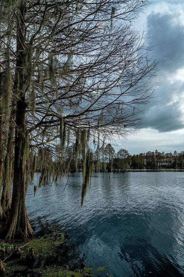 Water Photograph - Around The Park by Ric Schafer Water Photograph - Around The Park by Ric Schafer